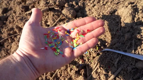 Microplastic pollution. Microplastics in ground. Video stock 278226056