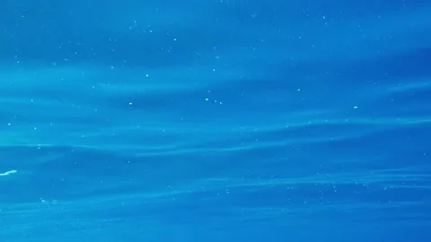 Microplastic on the sea surface. irreparable water pollution sea Stock Footage 179833527