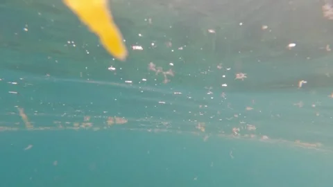 Microplastics and plastic waste in the sea and ocean Stock Footage 312168903