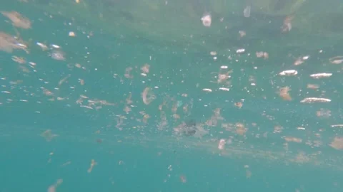 Microplastics and plastic waste in the sea and ocean Stock Footage 312169000
