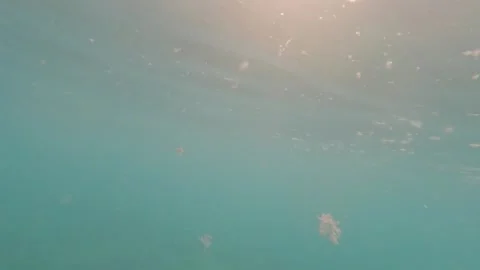 Microplastics and plastic waste in the sea and ocean Stock Footage 312169155