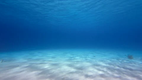 Microplastics Stock Footage 317187034