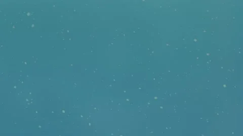 Microplastics In The Ocean - Pollution, Trash, Plastic - Loopable Animation Stock Footage 220403567