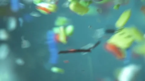 Microplastics in water, tiny multicolored plastic bits. global ocean pollution - Video stock 157157169