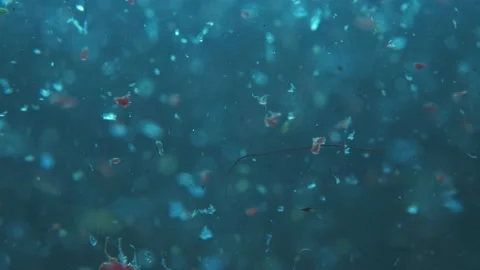 Microplatics in water. plastic fragments or particles in ocean. ocean pollution Stock Footage