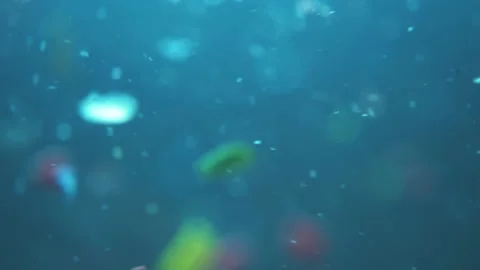 Microplatics in water. plastic fragments or particles in ocean. ocean pollution Stock Footage 152150086