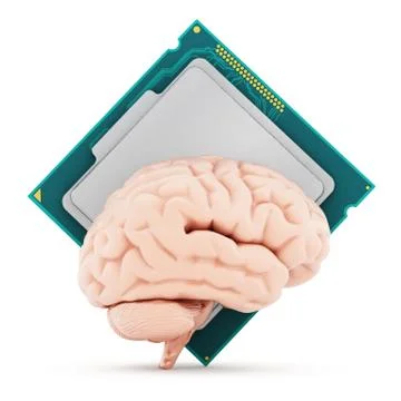 Microprocessor and human brain. 3D illustration Stock Illustration