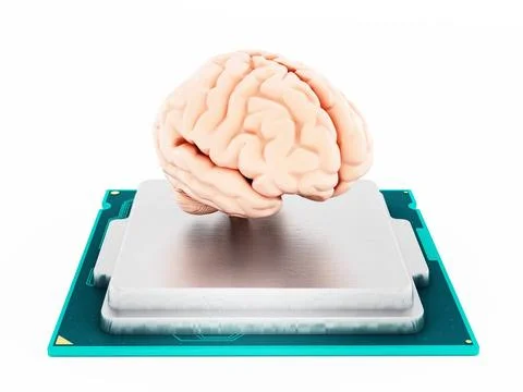 Microprocessor and human brain. 3D illustration Microprocessor and human b... 写真素材