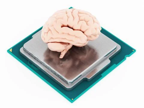 Microprocessor and human brain. 3D illustration Microprocessor and human b... 写真素材