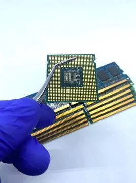 Microprocessor CPU kept on pincer closeup view isolated on white background Stock Photos