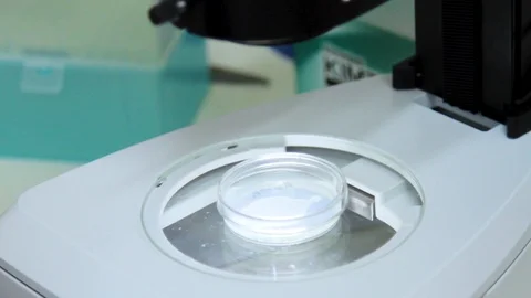 Microscope 01 Stock Footage 89481615