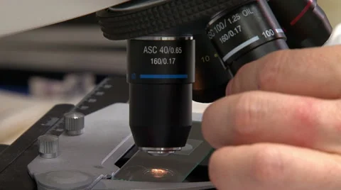 Microscope adjustment Stock Footage 49467931