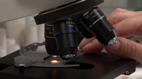 Microscope adjustment Stock Footage 49479815