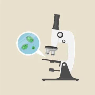 Microscope and bacteria, biology vector illustration Stock Illustration