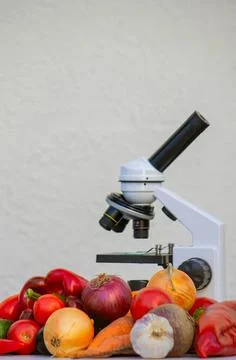 Microscope and fresh vegetables on table for science and food Stock Photos