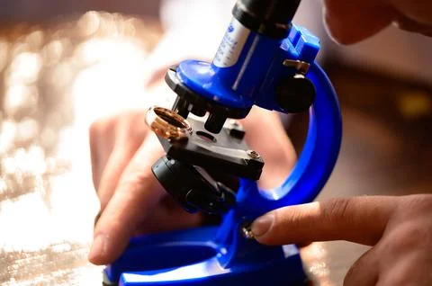 Microscope and human hands, a laboratory technician conducts research with th Stock Photos