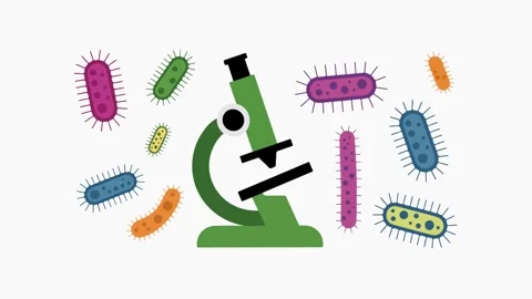 Microscope and Microorganisms vector Animation Stock Footage 334096904