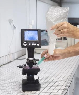 Microscope and sperm in clinic Stock Photos