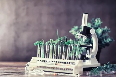 Microscope and test partings on the table in the laboratory. Stock Photos
