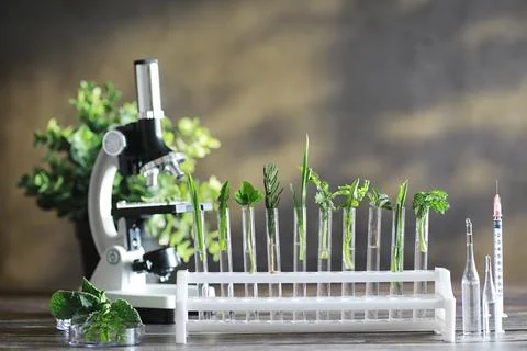 Microscope and test partings on the table in the laboratory. Stock Photos