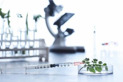 Microscope and test partings on the table in the laboratory. Stock Photos