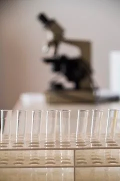 Microscope and test tubes Stock Photos