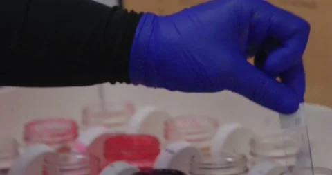 Microscope being prepared by a lab technician in a laboratory 4k Stock Footage 145969394