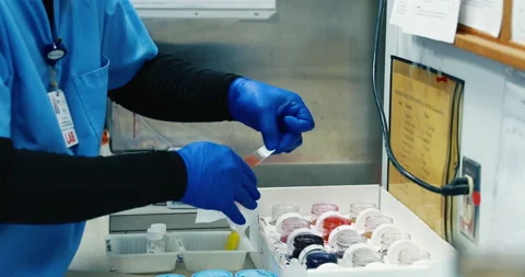 Microscope being prepared by a lab technician in a laboratory 4k Stock Footage 146943215