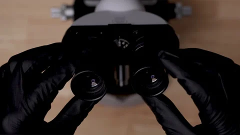 Microscope being prepared for use. Close up microscope top view. Stock Footage 291903820