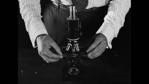 Microscope Blood Sample Comparison Of Hookworm And Healthy Patient Video stock 130722019