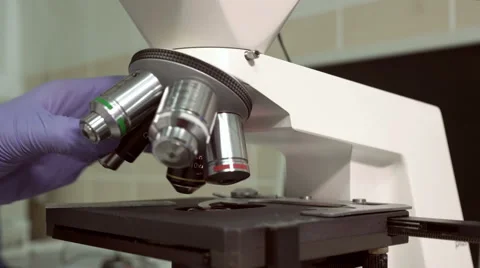 Microscope blood testing and analysis at modern medical laboratory Stock Footage 59518833