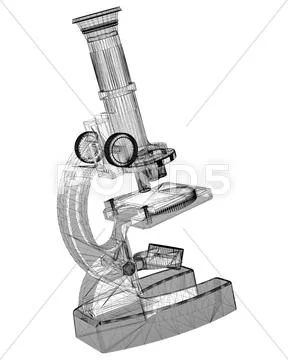 Microscope body structure, wire model on the background Illustration ...