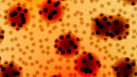 Microscope cell animation Video stock 95581491