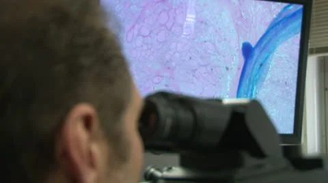 Microscope - Cell on Screen Stock Footage 23361567