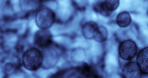 Microscope cells, bacteria or cancer study in laboratory, science room or Stock Footage 225564131