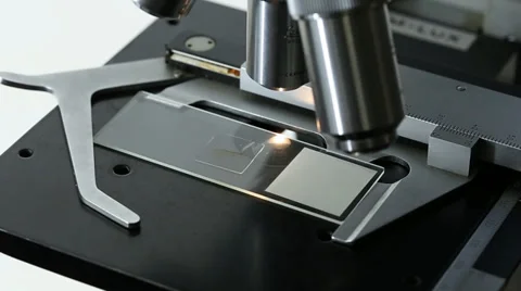 Microscope Close Up - Adjusting Sample Position Stock Footage 39375618