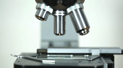 Microscope Close Up - Pull Focus Stock Footage 39375613
