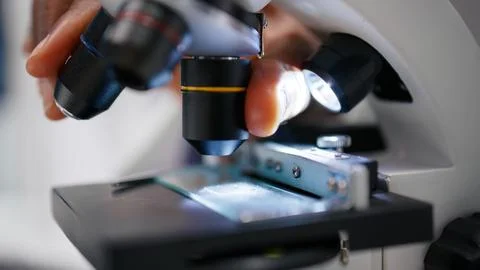 Microscope close up of specimen tray in lab studied by expert Stockfoto's