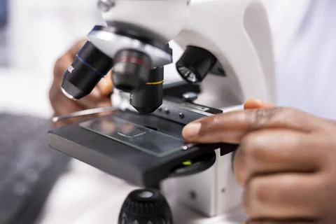 Microscope close up of woman arranging sample tray for experiment 스톡 사진