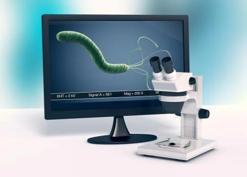 Microscope, concept of scientific research and new technologies Stock Illustration