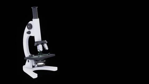 Microscope with Copy Space Stock Illustration
