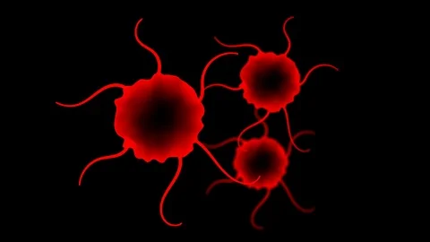 Microscope Disease bacteria cells moving set close up illustration on dark Stock Footage 92510339