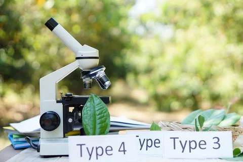 Microscope for doing science experiment outdoor Stock Photos
