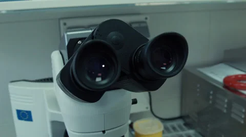 Microscope up down Vidéo 37344656