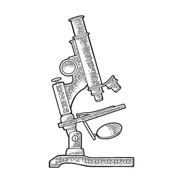 Microscope. Engraving vintage vector black illustration. Isolated on white Illustrazione stock