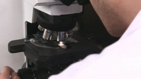 Microscope examination Stock Footage 327731