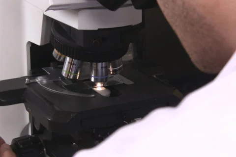 Microscope examination NTSC Stock Footage 327669