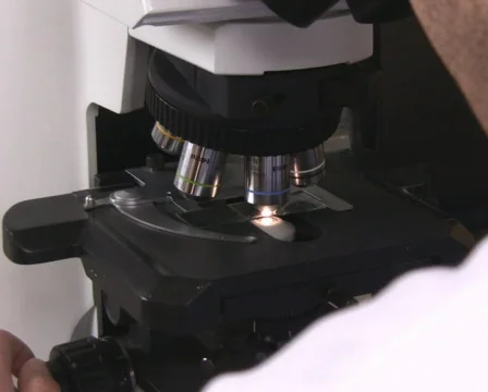 Microscope examination PAL 스톡 동영상 327691