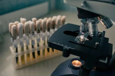 Microscope examining specimen slide with culture tubes in background for mi.. Stock Photos