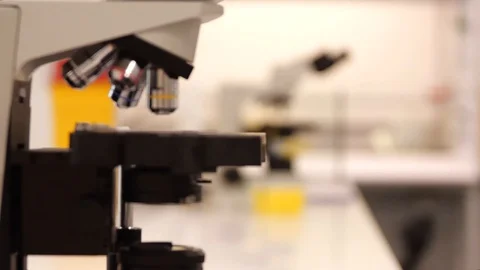 Microscope focus pool Stock Footage 127148904